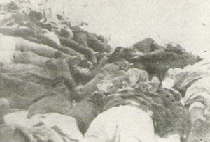 victims of the novi sad massacre